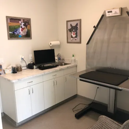 Examination Room and large table